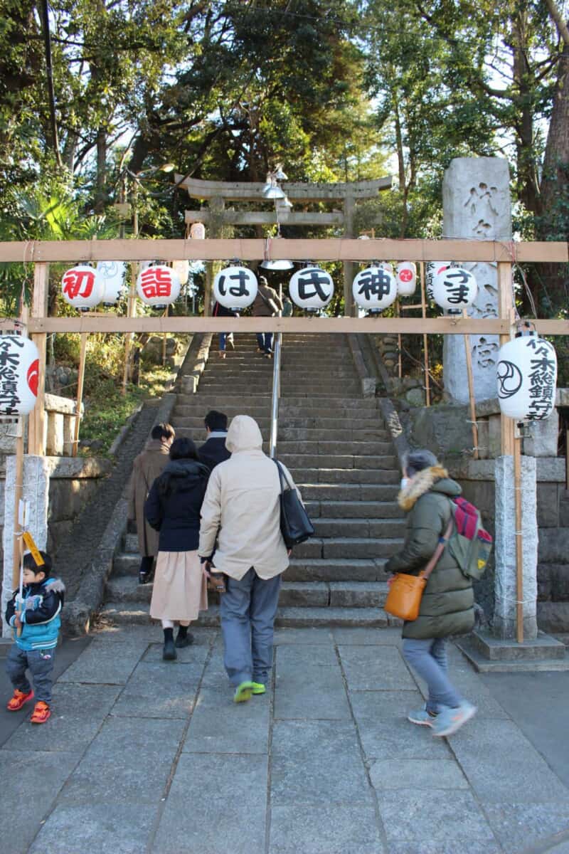 代々木八幡宮 アナロジコ 初詣